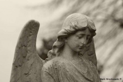 Friedhof-Albrecht-Thaer-Str.-Lennep_02