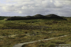 Grey-Cairns-of-Camster-29.08.11_23