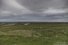 St.-St.-An-Carra-27.06.2017_008