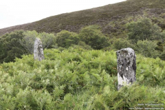 St.-Stone-Glen-Loth-29.08.2011_02