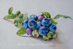 Blaubeeren