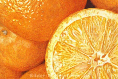 Orangen