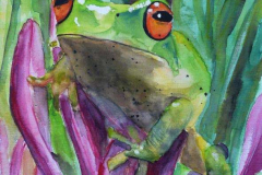 Frosch-Aquarell